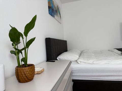 Charmantes Studio in Chur - alles in Reichweite Apartment in Chur