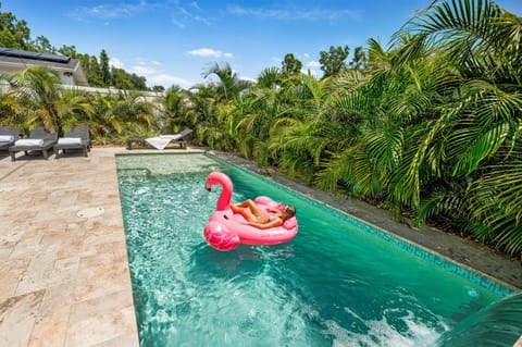 Tropical Disco, Luxury, Top 5 percent of Homes, Guest Favorite, Heated Pool, Mins to St Pete Beach House in Gulfport