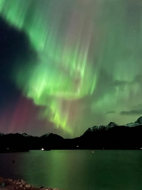 Modern & Elegant Apartment in Henningsvær Apartment in Lofoten