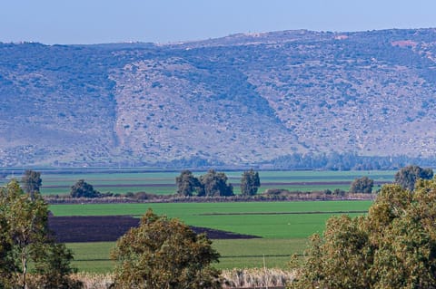 Natural landscape