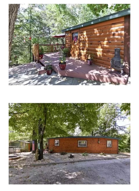 Cozy Lake Cabin Cabin in Roaring River Township