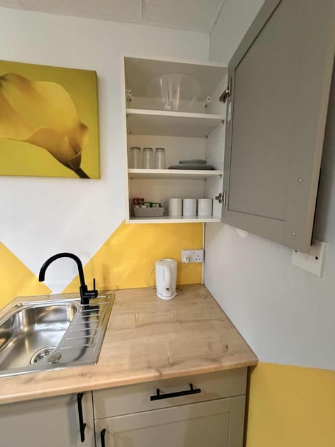 Coffee/tea facilities, Kitchen or kitchenette, stove