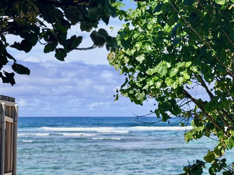 Hibiscus Hale - Perfect for 2! House in Mokuleia