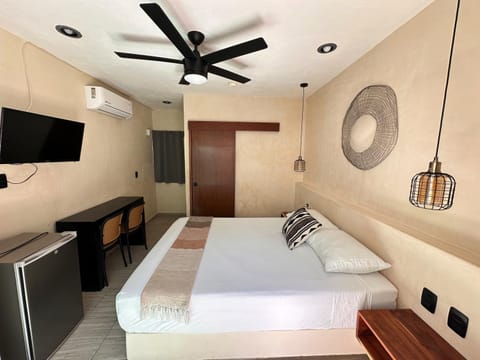 Bed, TV and multimedia, air conditioner