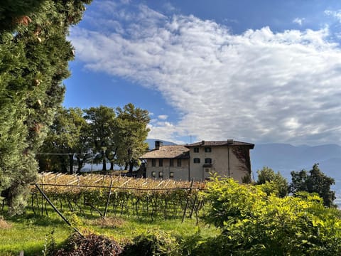 Maso Sasso - La Locanda di Putipù Hotel in Rovereto