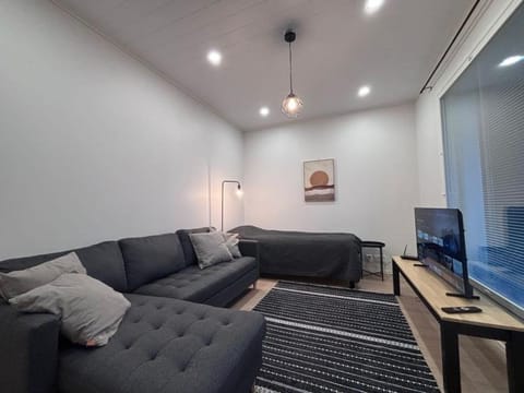 Kotimaailma - New terraced house with private Sauna Apartment in Finland