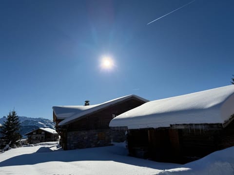 Nearby landmark, Winter, Garden, Ski School, Parking, acessibility