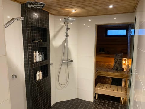 Lapland Riverside Home Villa in Rovaniemi