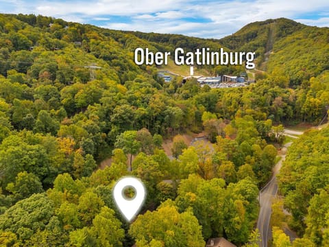 Come On Ober #367 House in Gatlinburg