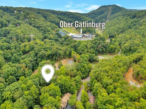 Bear Hug Hideaway #368 House in Gatlinburg