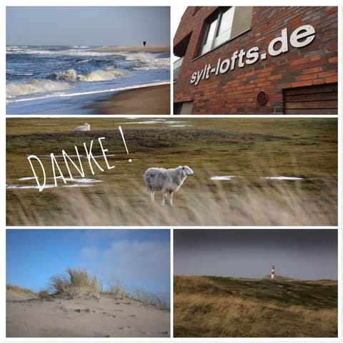 Sylt Lofts House in Westerland