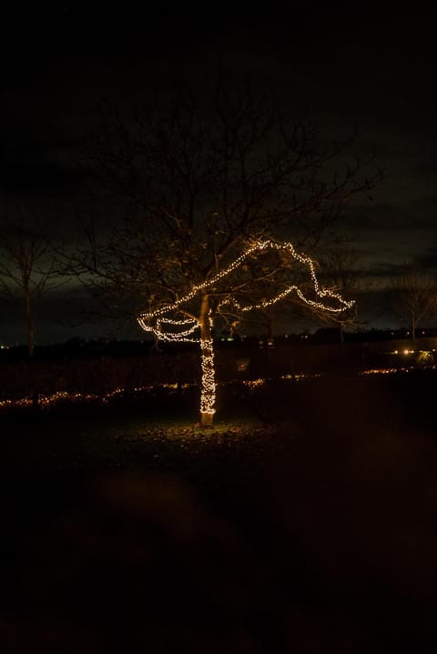 Property building, Garden view