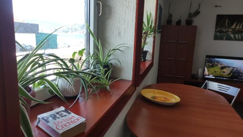 Woodpecker Backpacker Hostel & Tours Hostel in Kotor Municipality