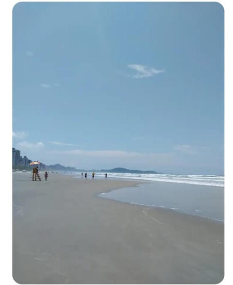 Beach, group of guests