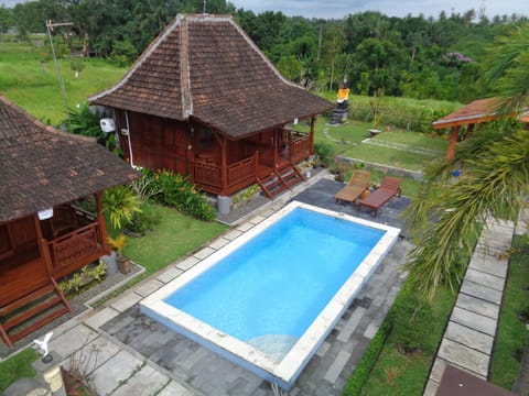 Property building, Day, Garden, Garden view, Pool view, Swimming pool, sunbed