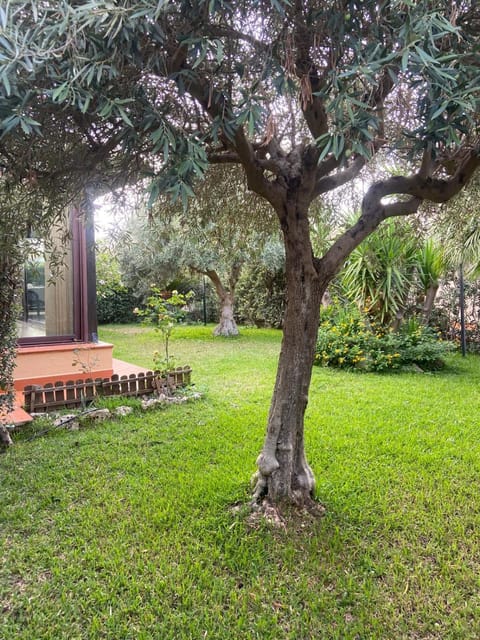 Spring, Day, Natural landscape, Garden, Garden, Garden view