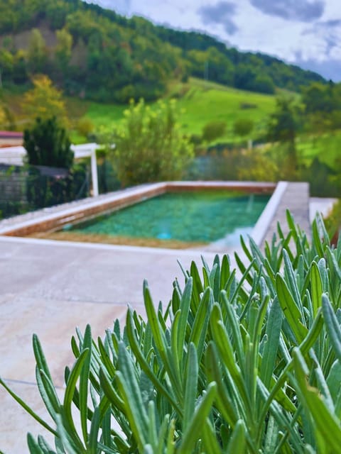 Villa River's View Private Swimming Pool & Spa citycenter on foot Villa in Emilia-Romagna