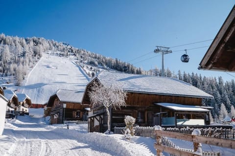 Almchalet am Katschberg House in Carinthia, Austria