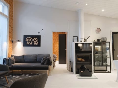 Villa Naava B House in Lapland