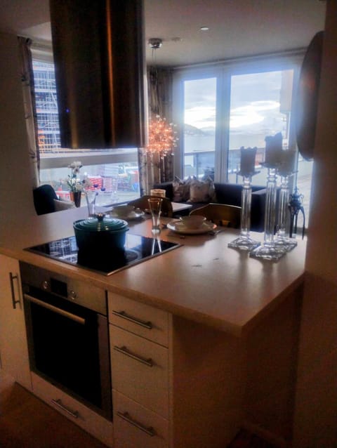 Kitchen or kitchenette, Dining area, stove