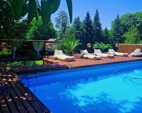 Garden view, Pool view, Swimming pool, sunbed