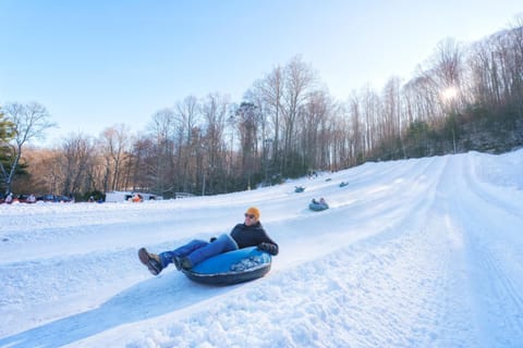Into the Trees by Carolina Mornings House in Waynesville