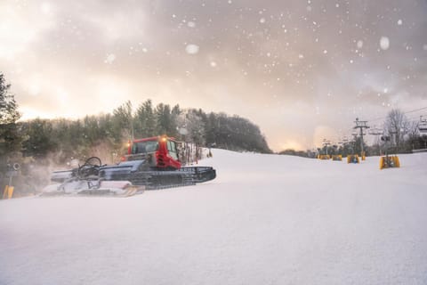 Into the Trees by Carolina Mornings House in Waynesville