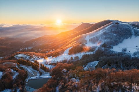 Into the Trees by Carolina Mornings House in Waynesville