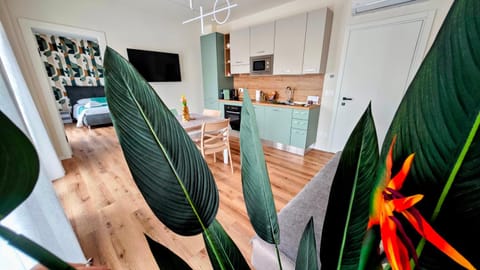 TV and multimedia, Kitchen or kitchenette, Living room, Seating area, Dining area, Evening entertainment, Family, microwave, oven, washing machine, air conditioner