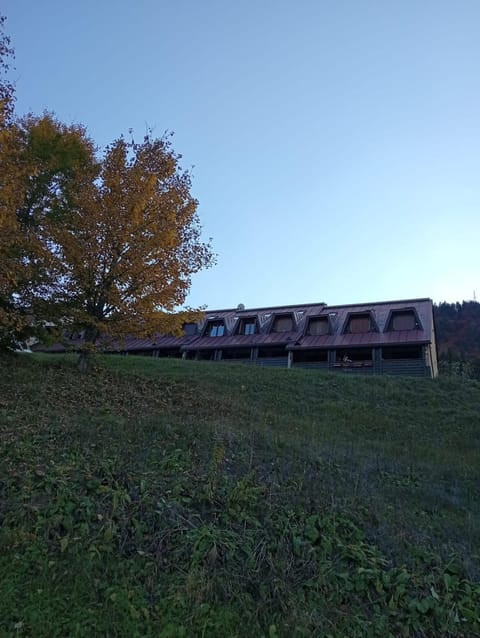 Property building, Garden view