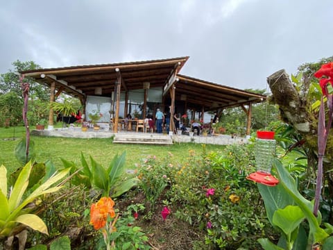 Patio, Natural landscape, Garden, Balcony/Terrace