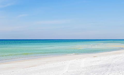 Secret Beach House House in Miramar Beach