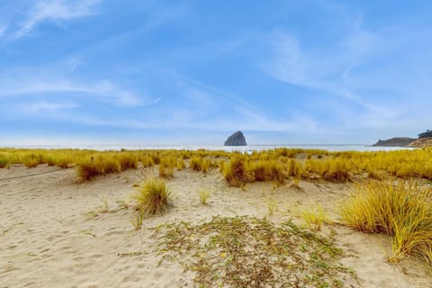 Neil's Cabin Cabin in Pacific City