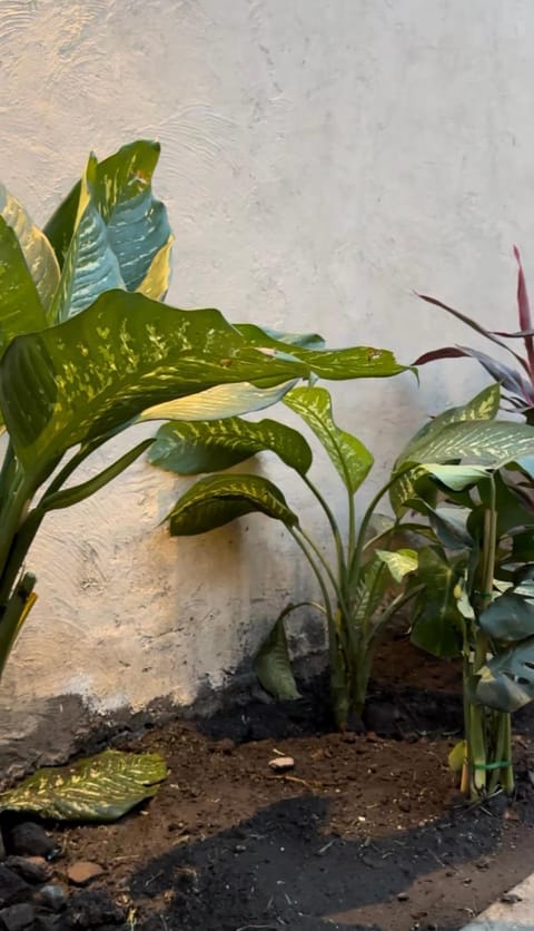 Casa Mi Ranchito Inn in Toluca