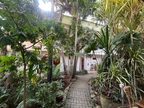 Property building, Day, Natural landscape, Garden view