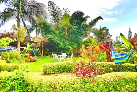 Children play ground, Garden, Guests