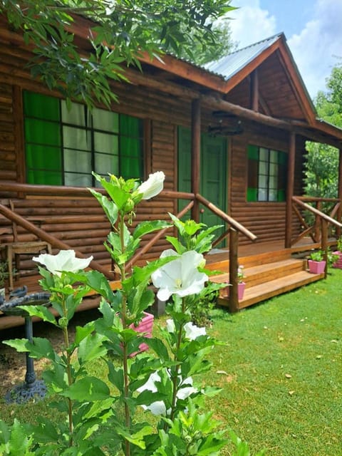 Day, Garden view