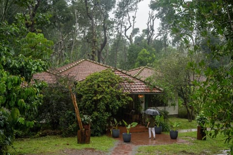 Property building, Natural landscape, Garden, View (from property/room)