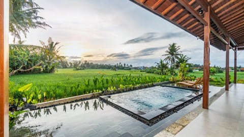 Patio, Spring, Day, Natural landscape, Garden, Garden, Garden view, Pool view, Swimming pool, Swimming pool, sunbed