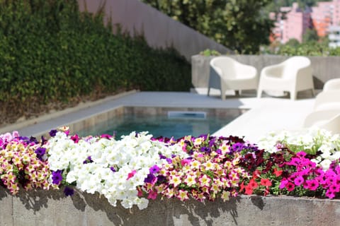 Pool view, Swimming pool