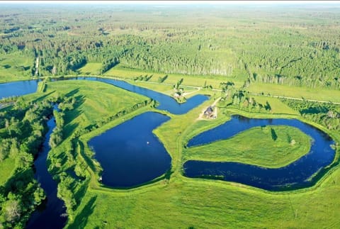 Spring, Day, Natural landscape, Bird's eye view, Lake view, River view
