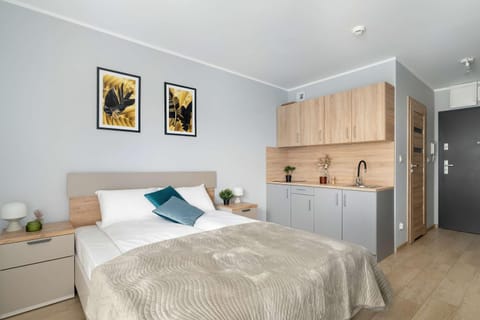Bed, Kitchen or kitchenette, Photo of the whole room, Bedroom, wardrobe