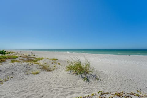 Beachfront Bliss and BBQs! Indian Rocks Beach Escape House in Indian Rocks Beach