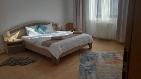 Apartament Anne Apartment in Timisoara