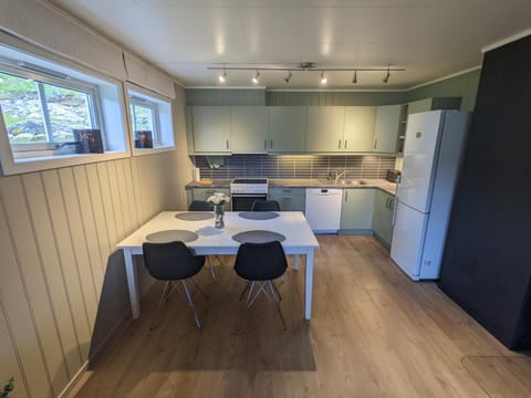 Kitchen or kitchenette, Dining area, dishwasher, stove