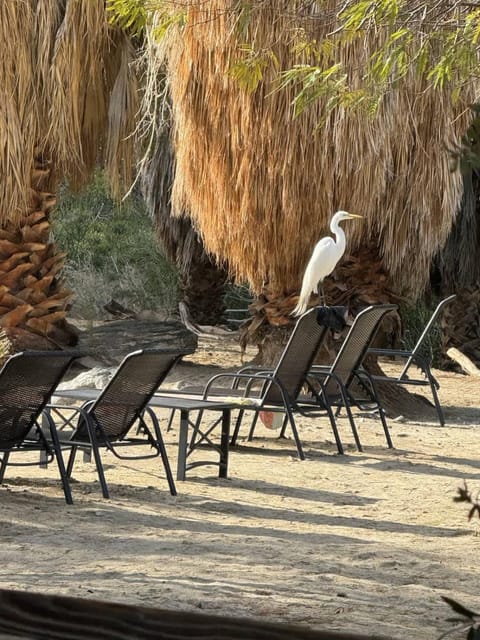 Reserve The Entire Ranch up to 28 guests Villa in Desert Hot Springs