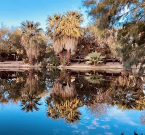 Reserve The Entire Ranch up to 28 guests Villa in Desert Hot Springs