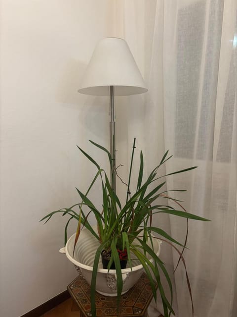 Minerva Apartment in Viareggio