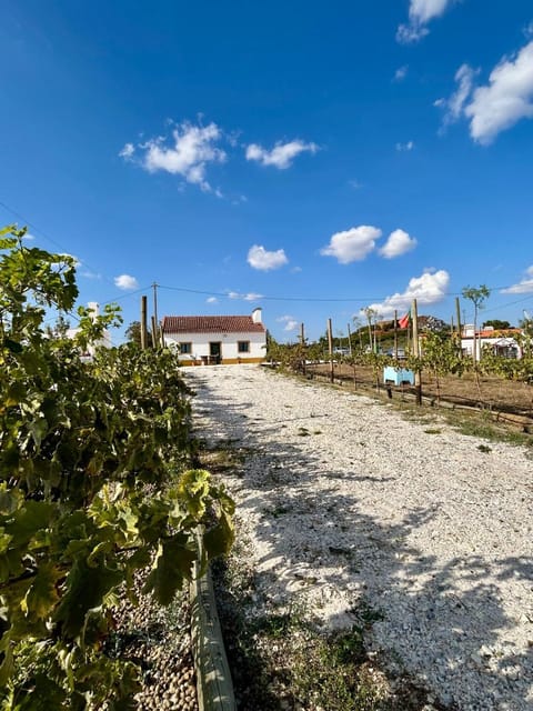 Property building, Natural landscape