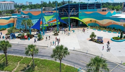 Sea Breeze Luxury Oceanfront at Crescent Shore Apartment in Crescent Beach